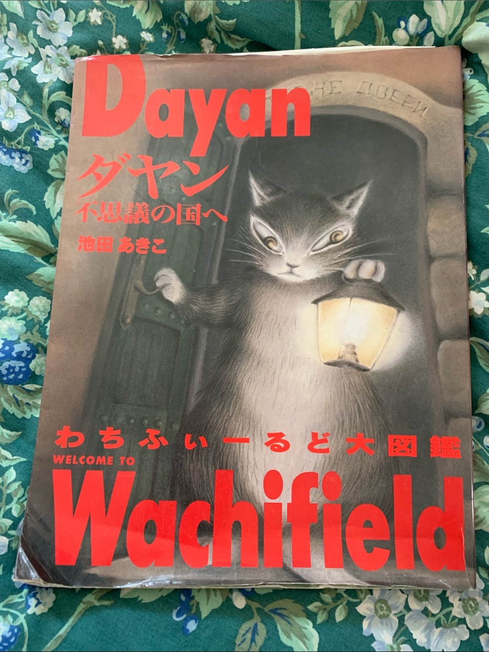 Dayan cat Art book